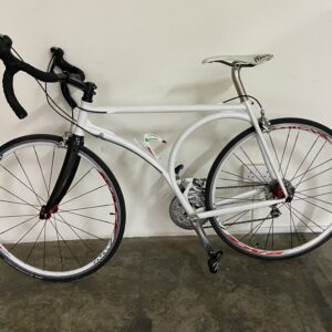 Revolutionary Bicycles Project - NOT FOR SALE